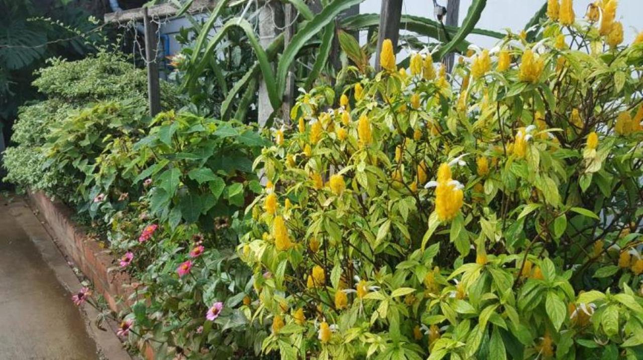 Maymyo Sa Khan Tha Hotel Pyin Oo Lwin Exterior photo